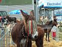 DSCF0068
