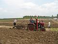 pic006