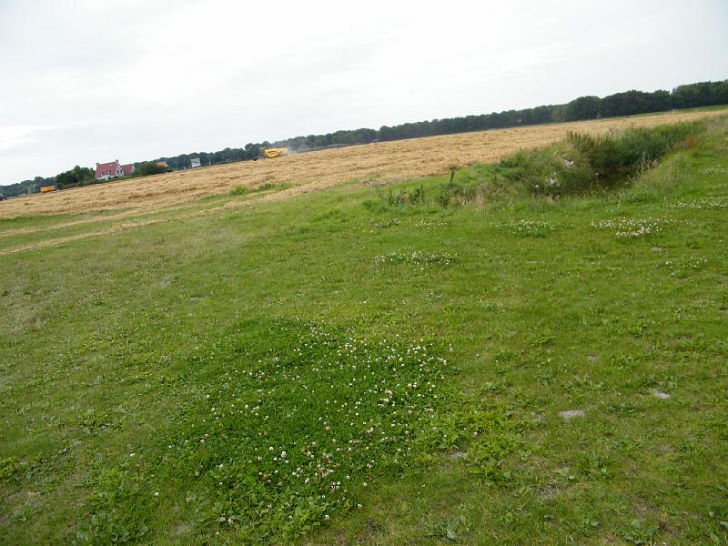 DSCF1020.JPG