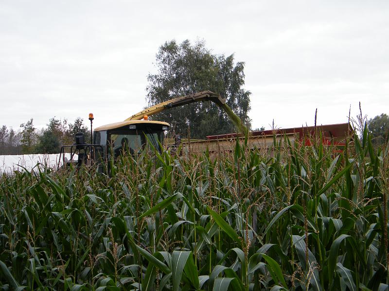 DSCF1106.JPG