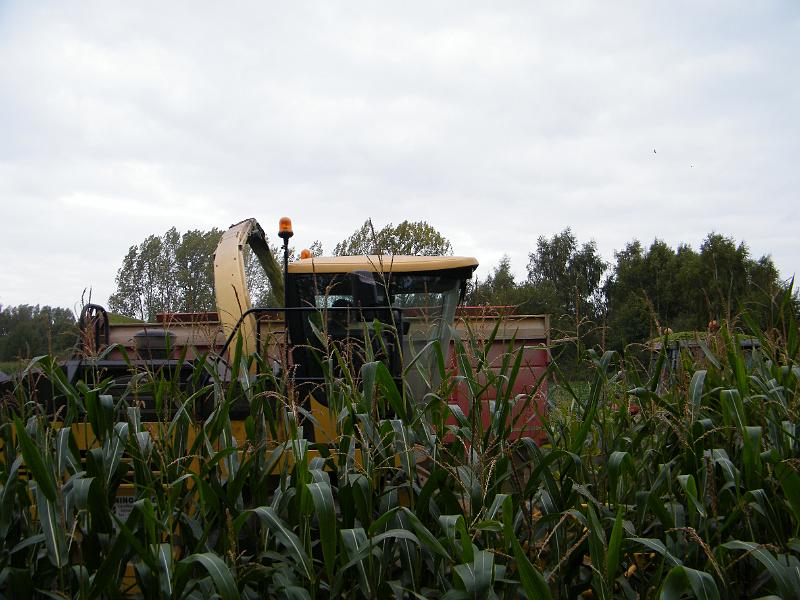 DSCF1107.JPG