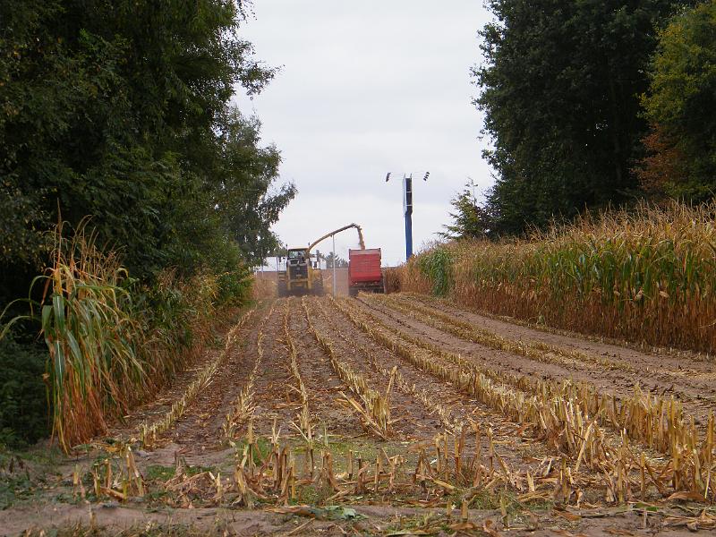 DSCF1130.JPG