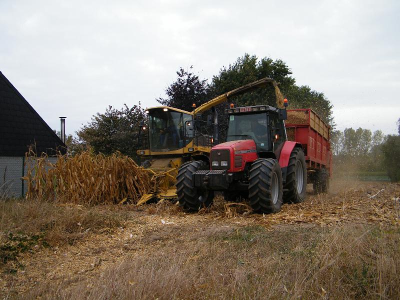 DSCF1138.JPG