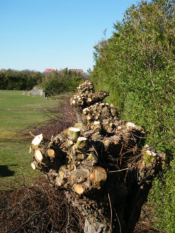 DSCF1749.JPG